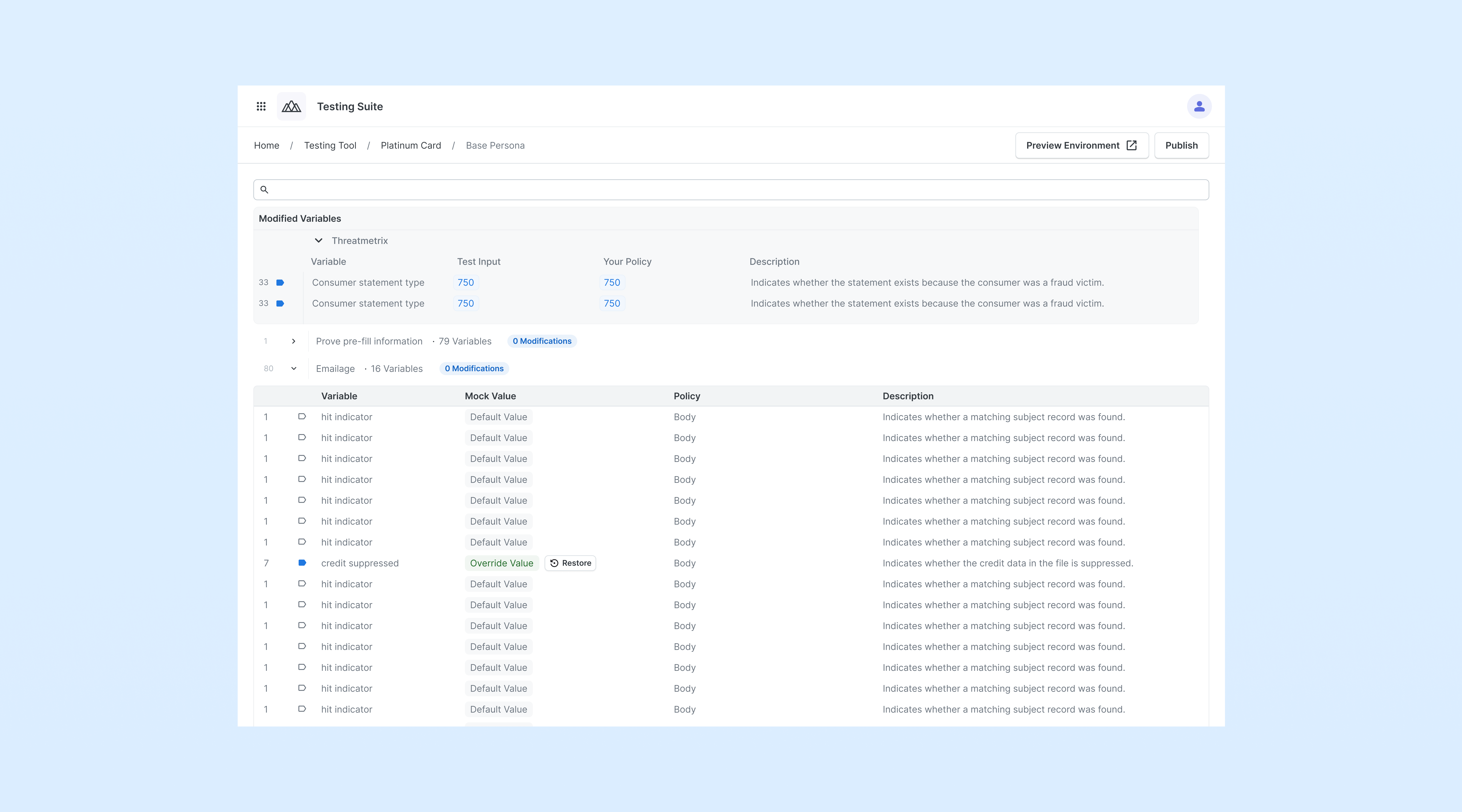 Mirror Environment Interface